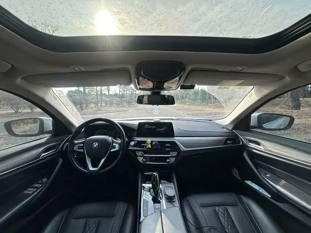 BMW 5 Series 2018 — фото 13