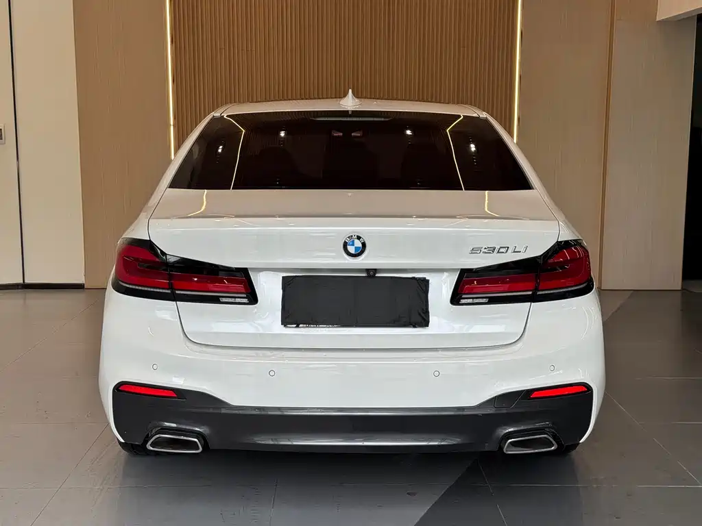 BMW 5 Series 2020 — фото 17