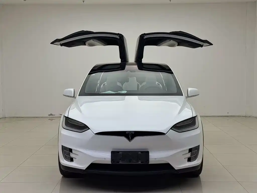 Tesla Model X 2016 — фото 1