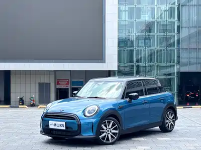 MINI MINI 2021