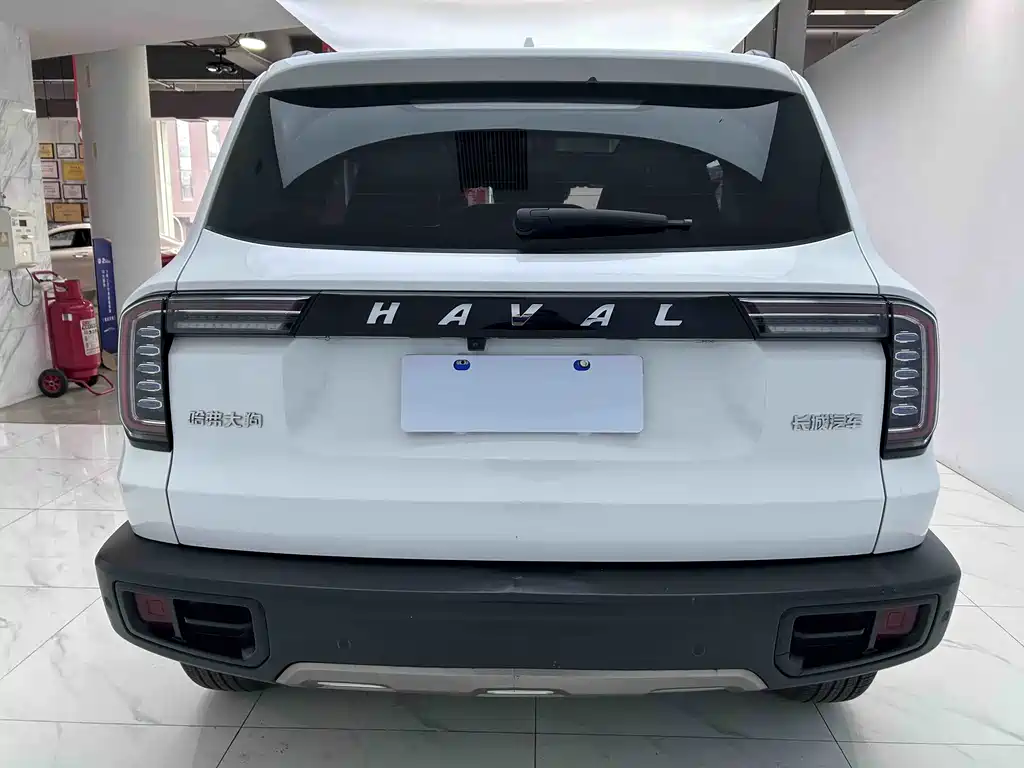 Haval Big Dog 2021 — фото 3