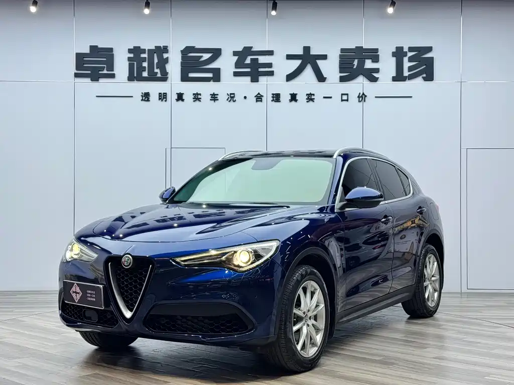 Alfa Romeo Stelvio 2019 — фото 1