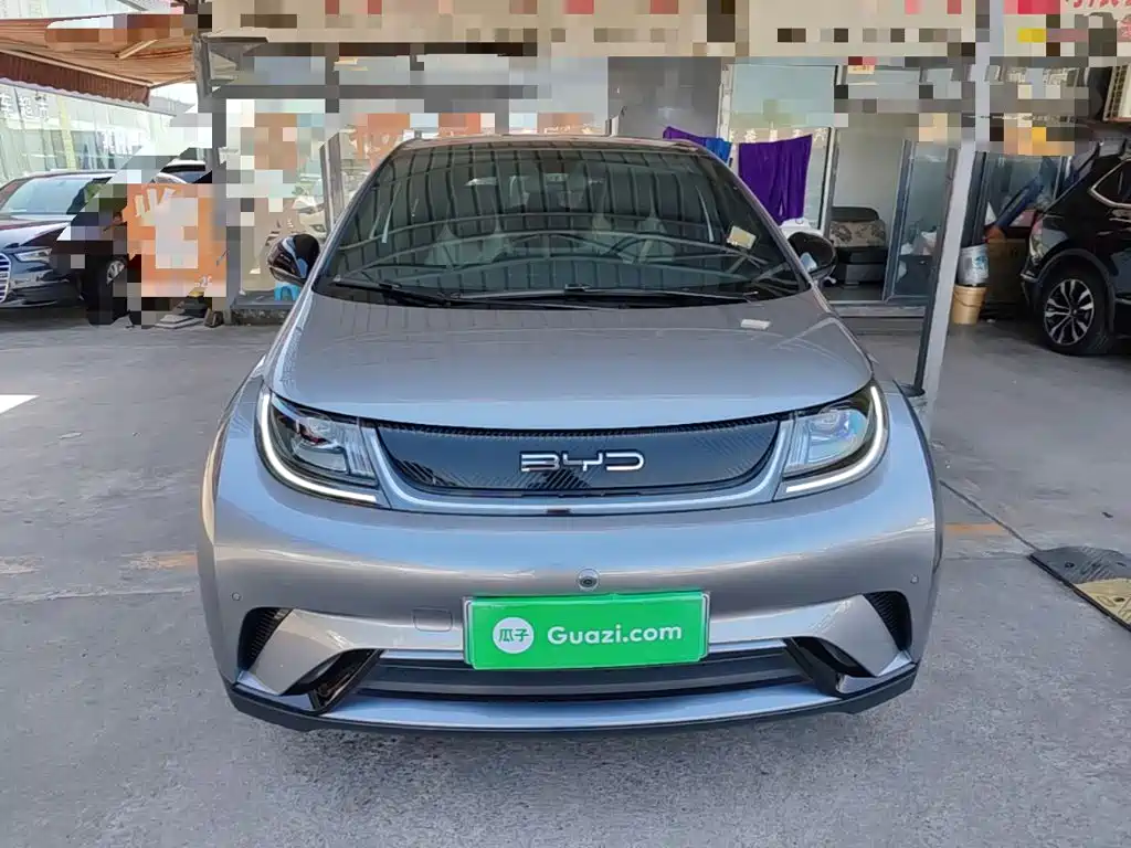 BYD Dolphin 2024