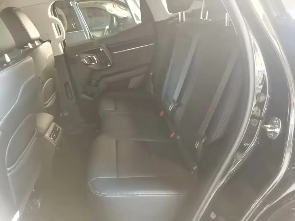 Haval Big Dog PLUS New Energy 2023 — фото 17