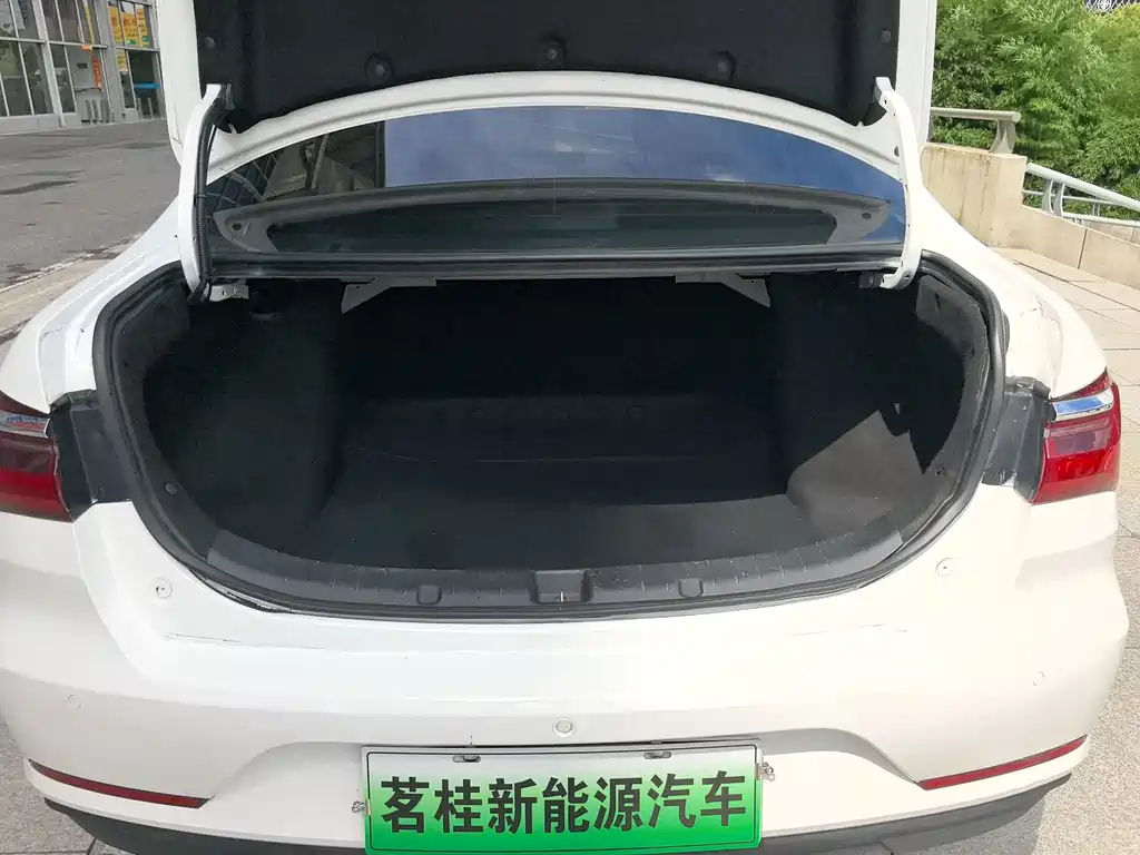 BYD Qin NEV 2021 — фото 8