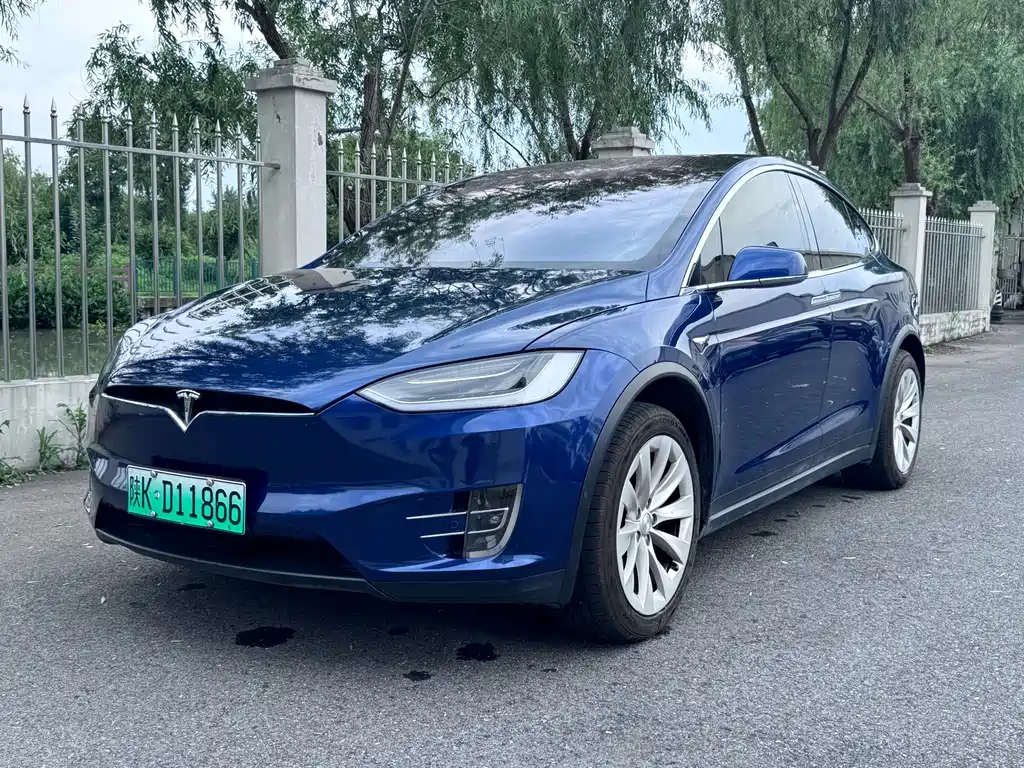 Tesla Model X 2019 — фото 1