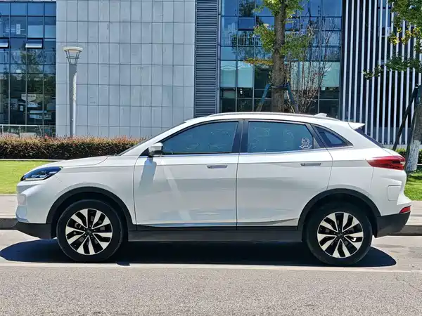 WM Motor EX5 2019