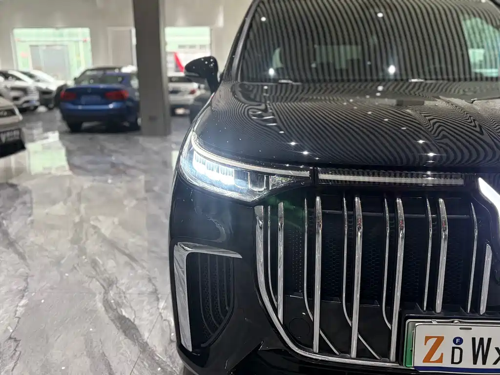 Voyah Dreamer 2024 — фото 25
