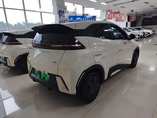 BYD Seagull 2024