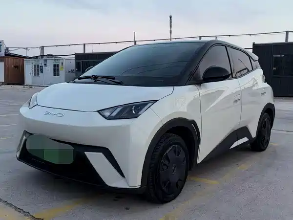 BYD Seagull 2024