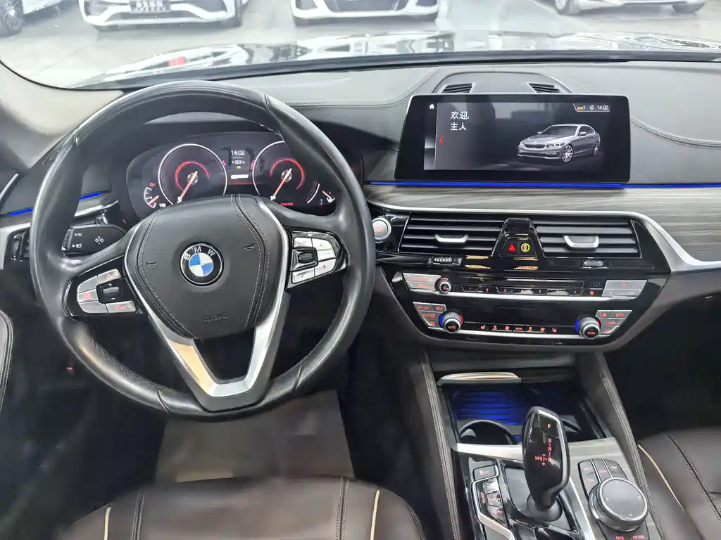 BMW 5 Series New Energy 2018 — фото 14