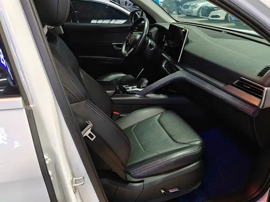 BYD Pro New Energy 2020 — фото 11