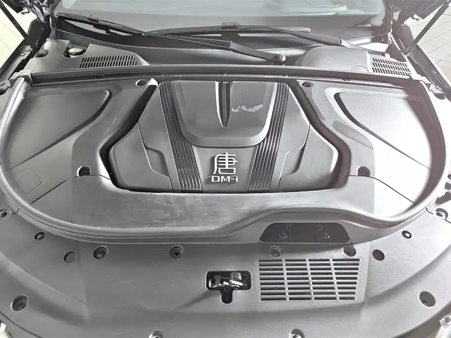 BYD Tang New Energy 2023 — фото 10
