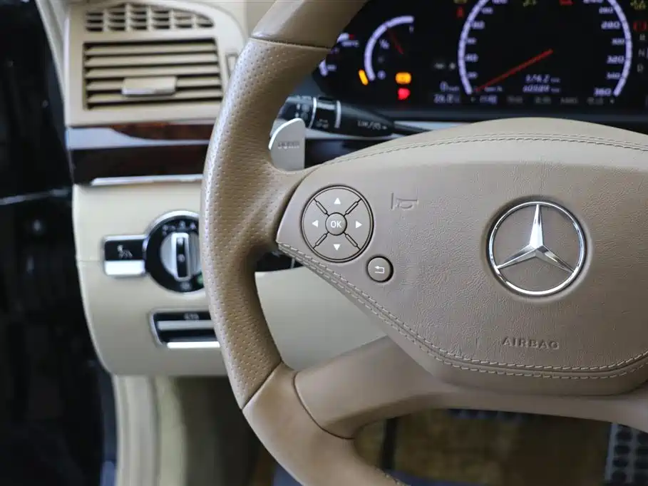 Mercedes-Benz S-Class AMG 2010 — фото 18