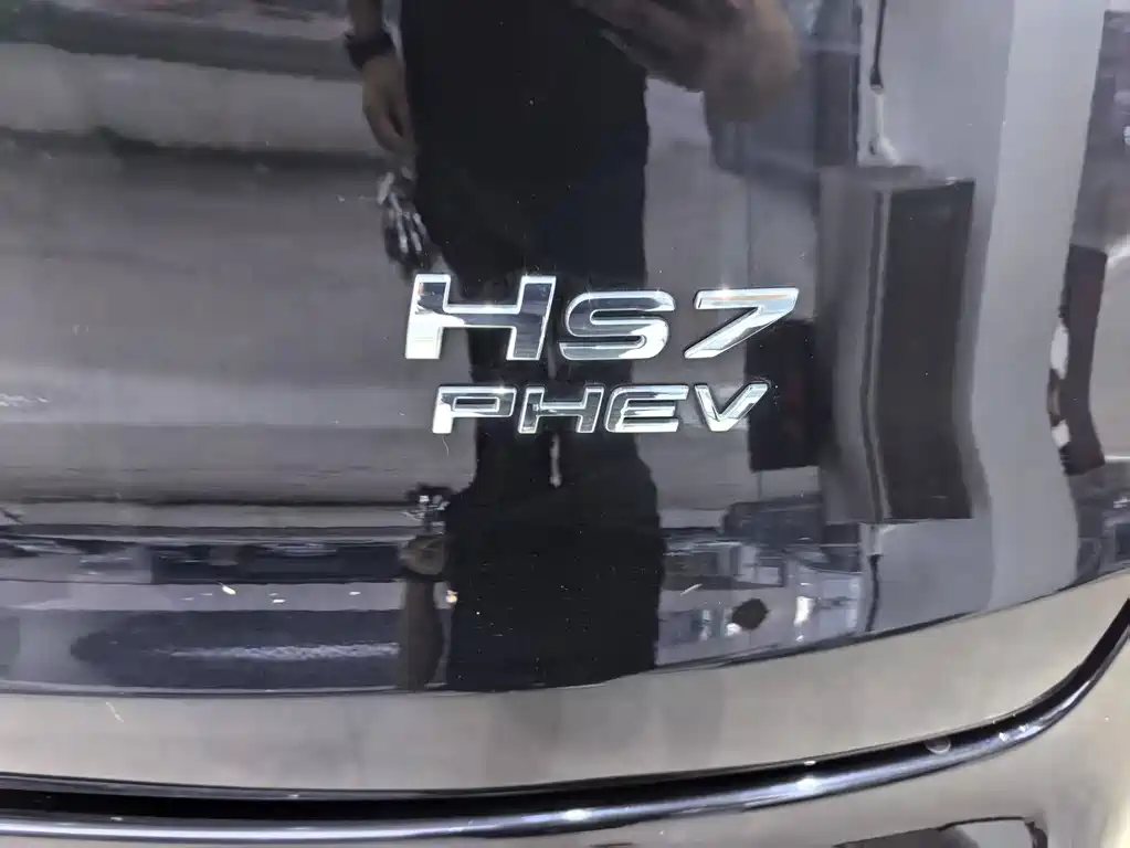 Hongqi HS7 PHEV 2024 — фото 17