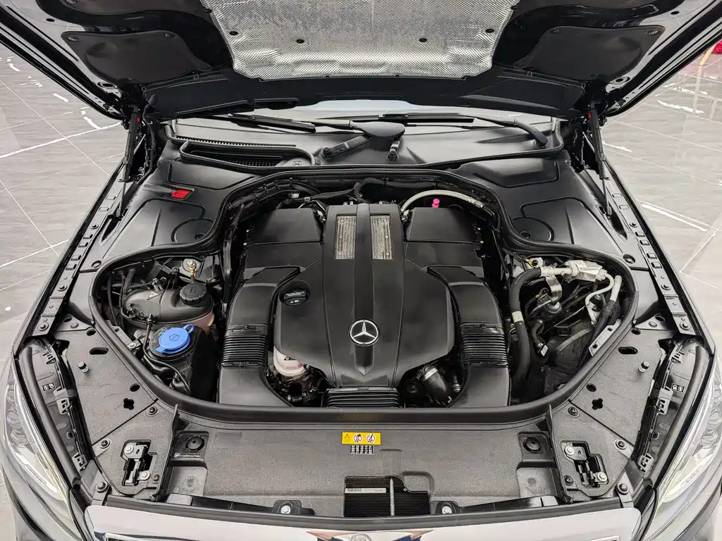 Carlsson S-Class 2020 — фото 16