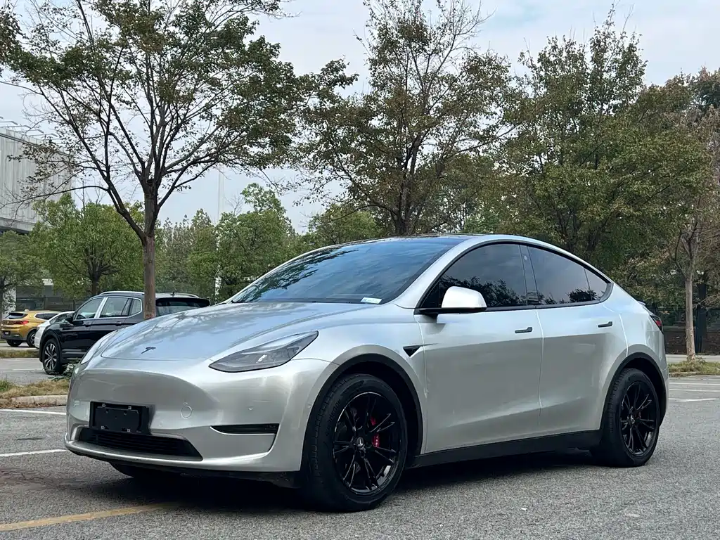 Tesla Model Y 2021 — фото 1