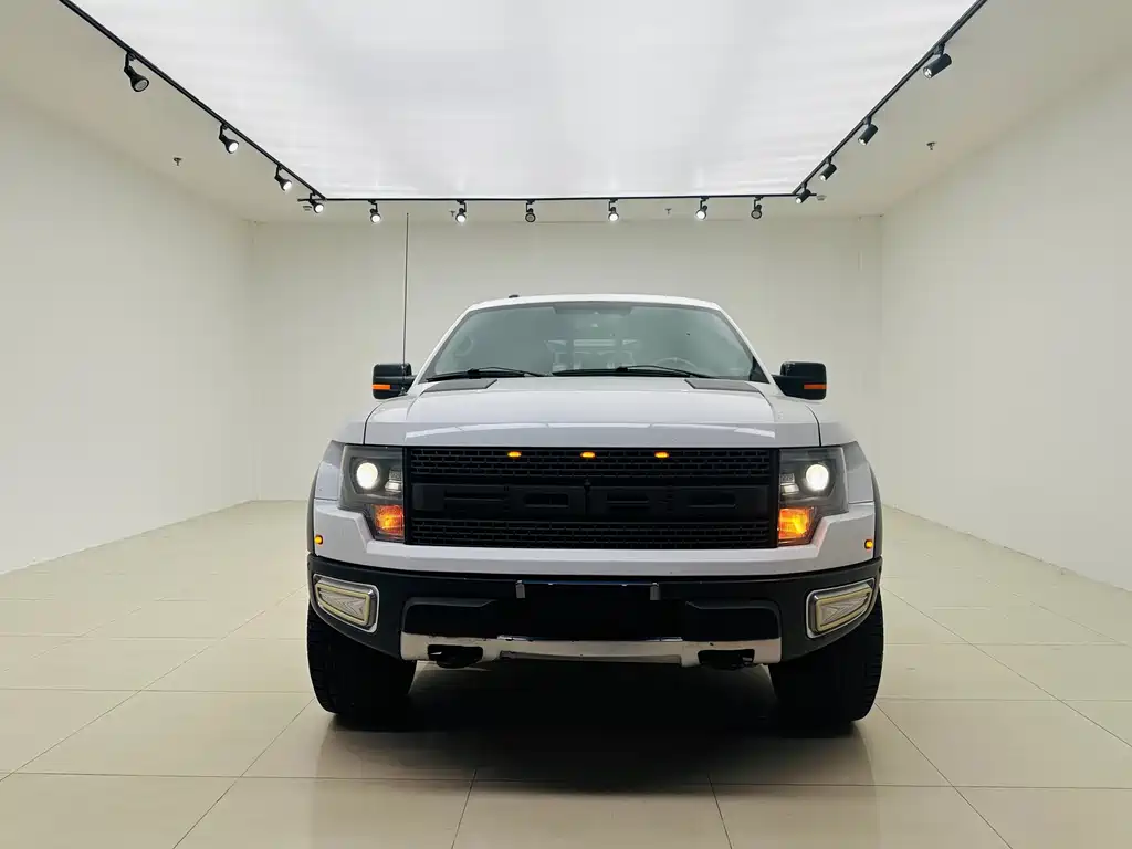 Ford F-150 Raptor 2015 — фото 2