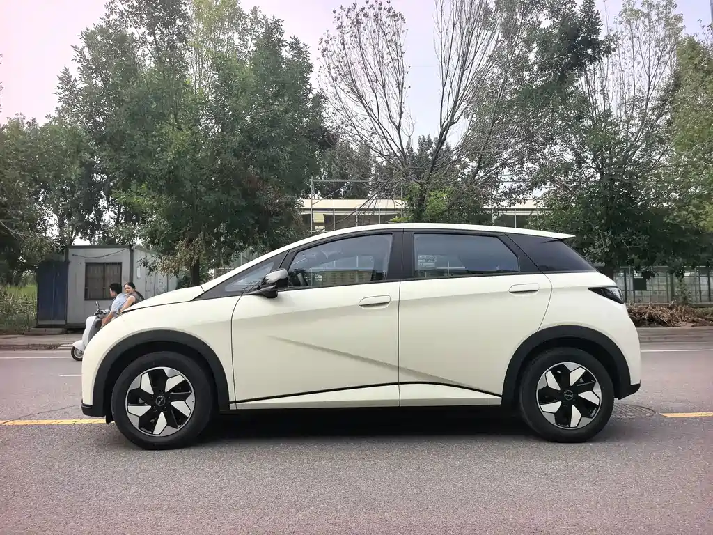 BYD Dolphin 2026