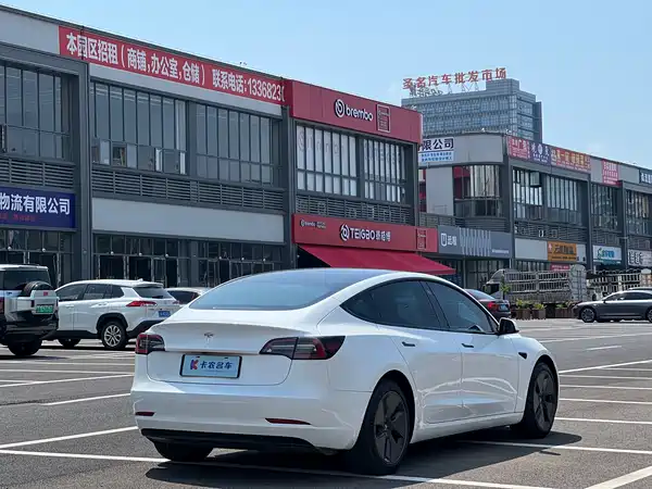 Tesla Model 3 2022