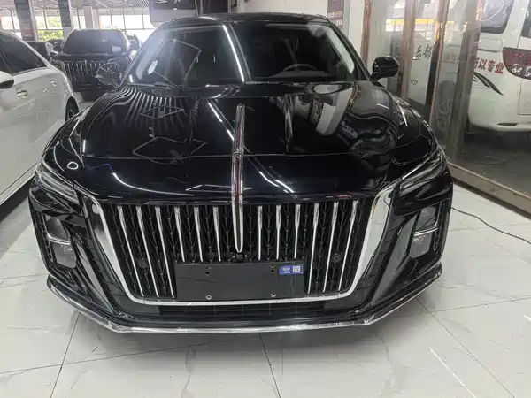 Hongqi H5 2024