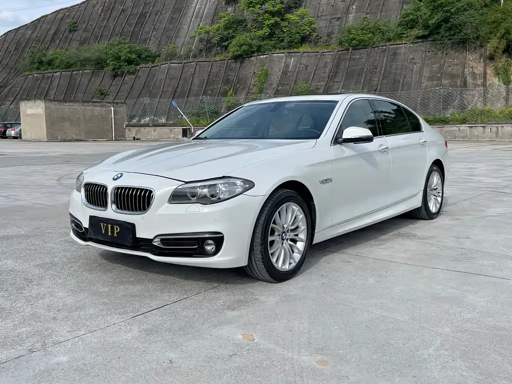 BMW 5 Series 2014 — фото 1