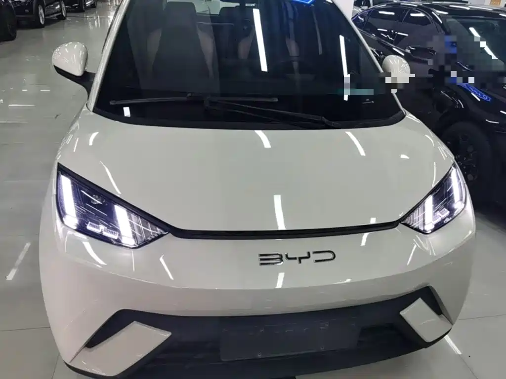 BYD Seagull 2024