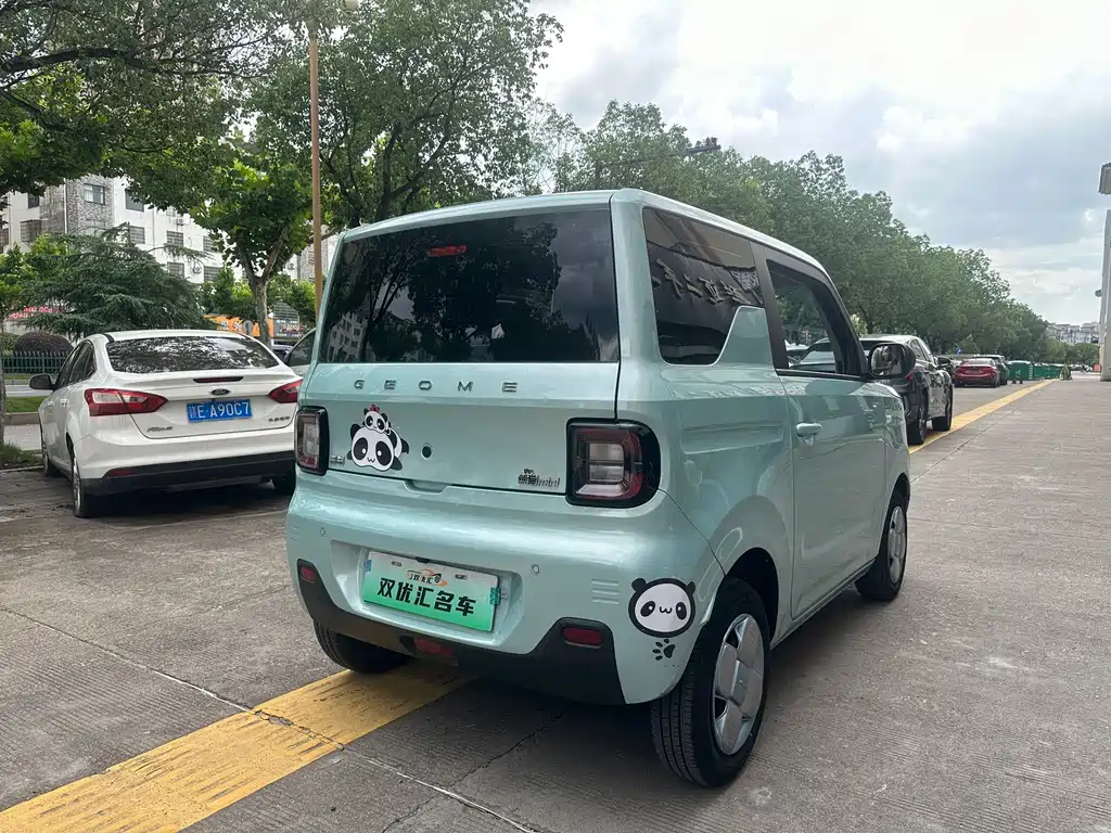 Galaxy Panda 2024