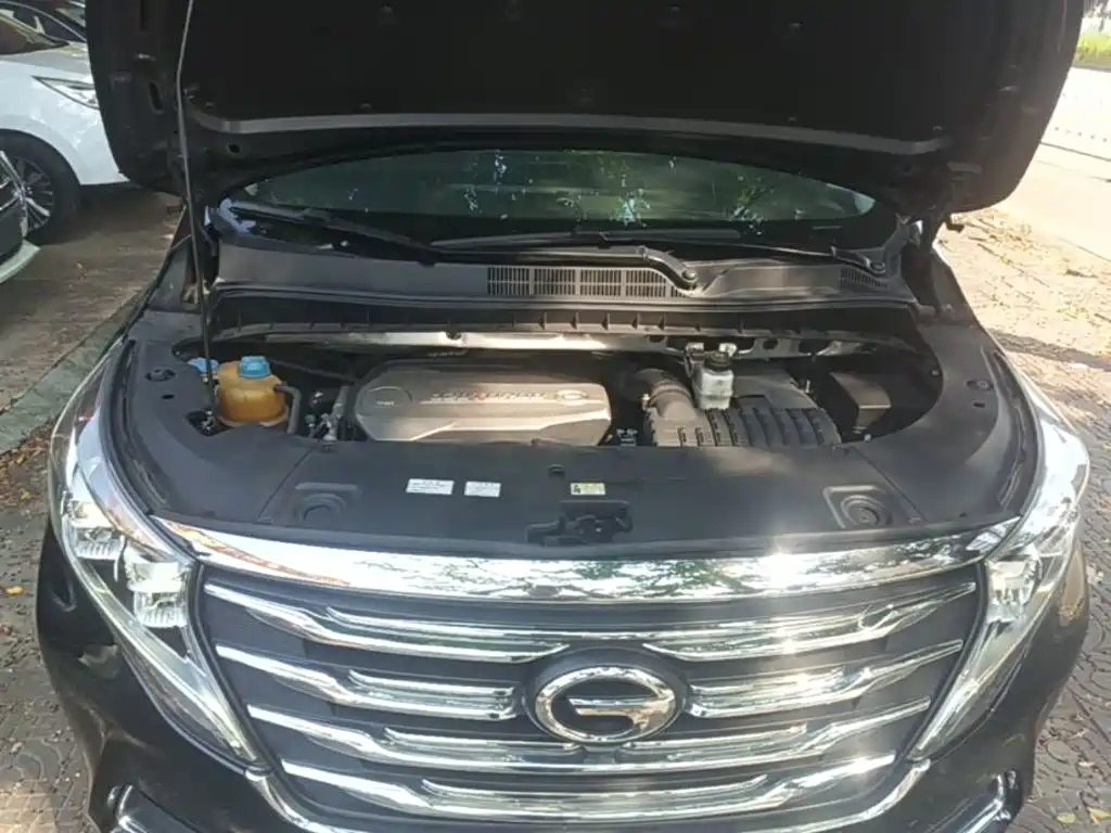 GAC Trumpchi M8 2018 — фото 20