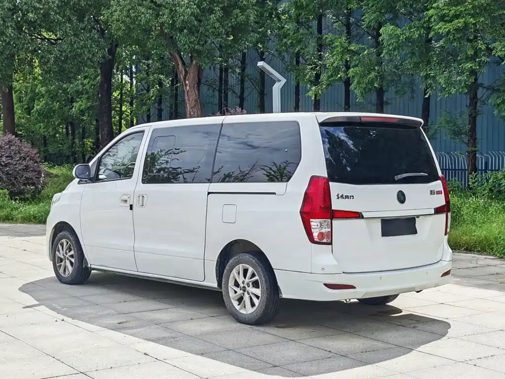 Fengxing Lingzhi PLUS 2021