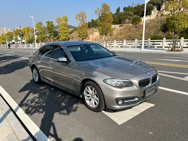 BMW 5 Series 2014