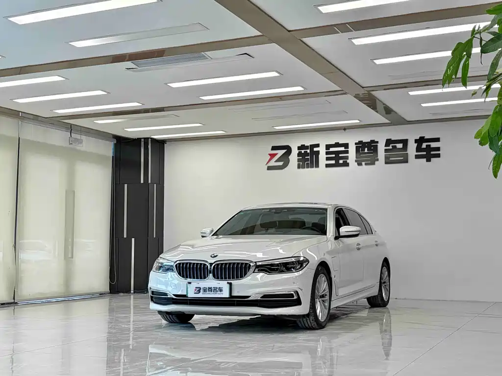 BMW 5 Series New Energy 2019
