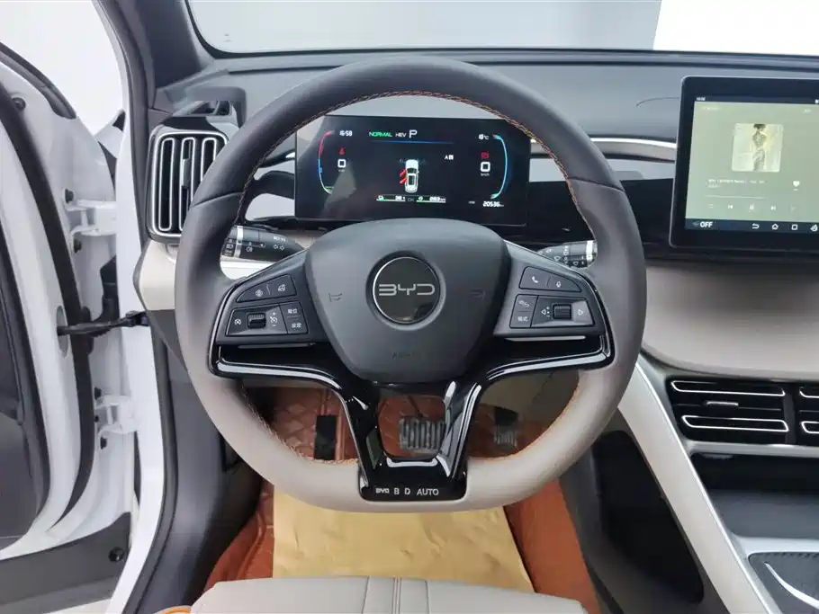 BYD Pro New Energy 2024 — фото 15
