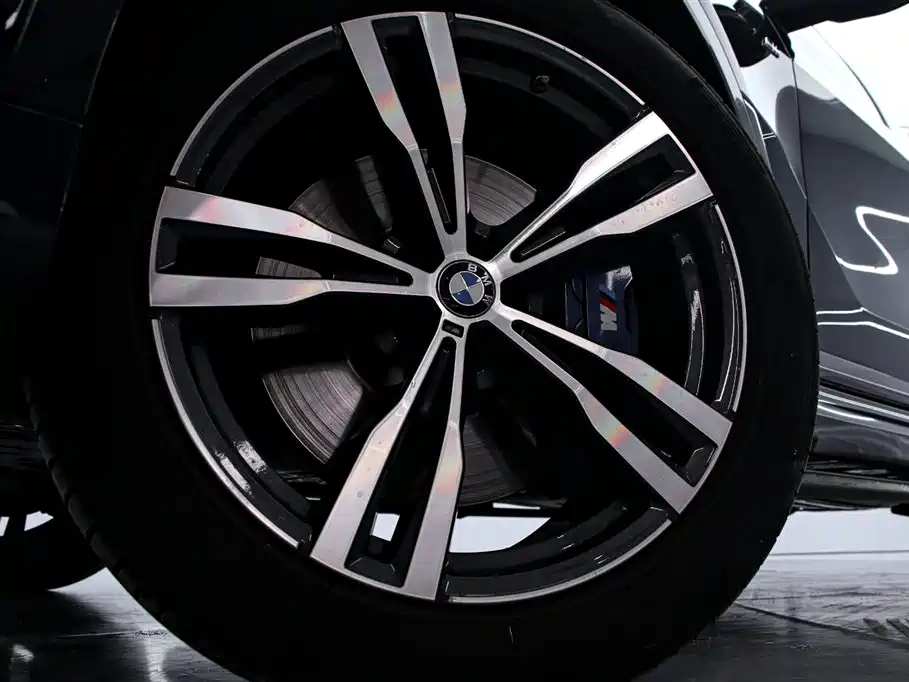 BMW X7 2021 — фото 16