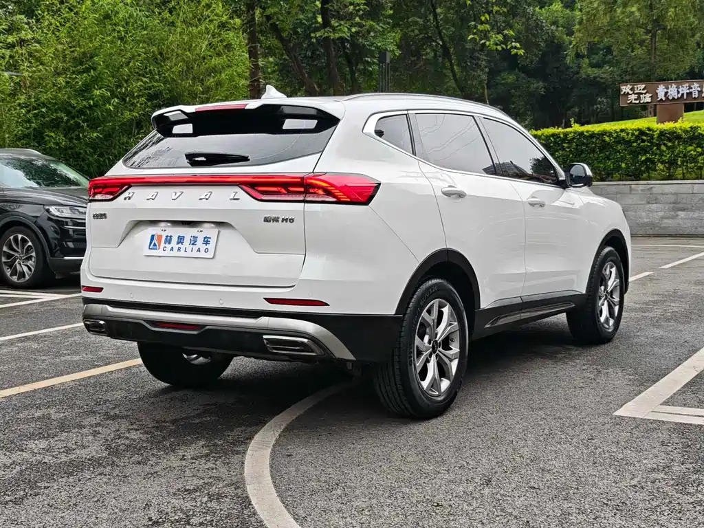 Haval H6 2023 — фото 32