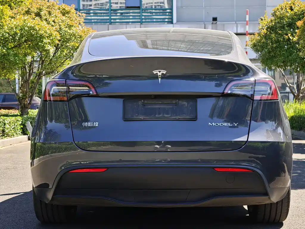 Tesla Model Y 2023 — фото 4