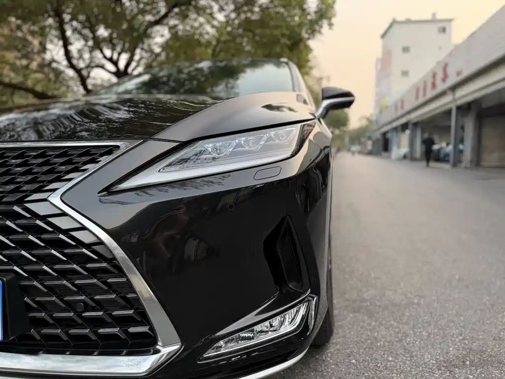Lexus RX 2022 — фото 20