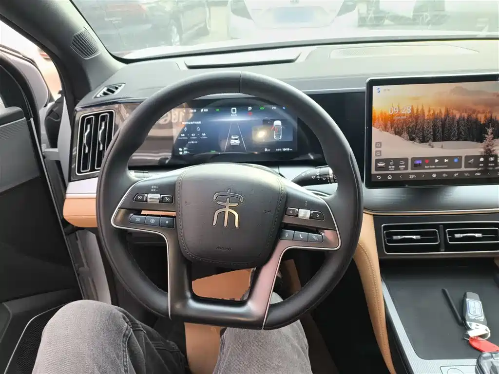 BYD L DM-i 2025 — фото 10