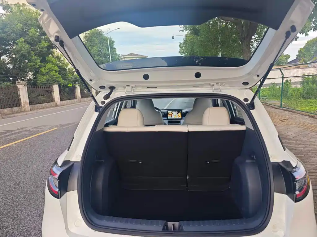 Geely Galaxy Starwish 2025 — фото 15