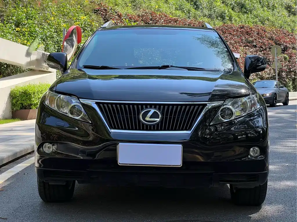 Lexus RX Classic 2010 — фото 2