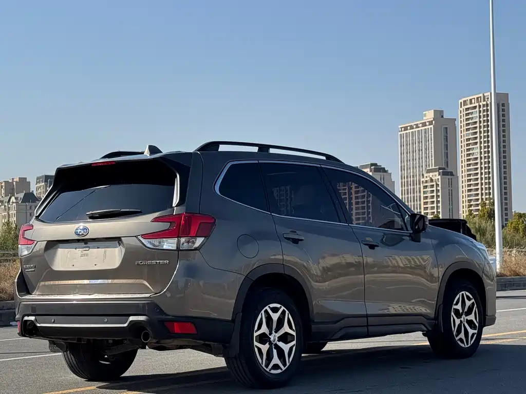 Subaru Forester 2019 — фото 10