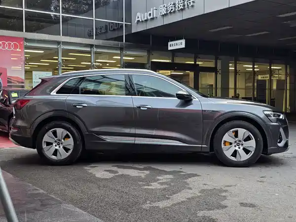 Audi e-tron 2021