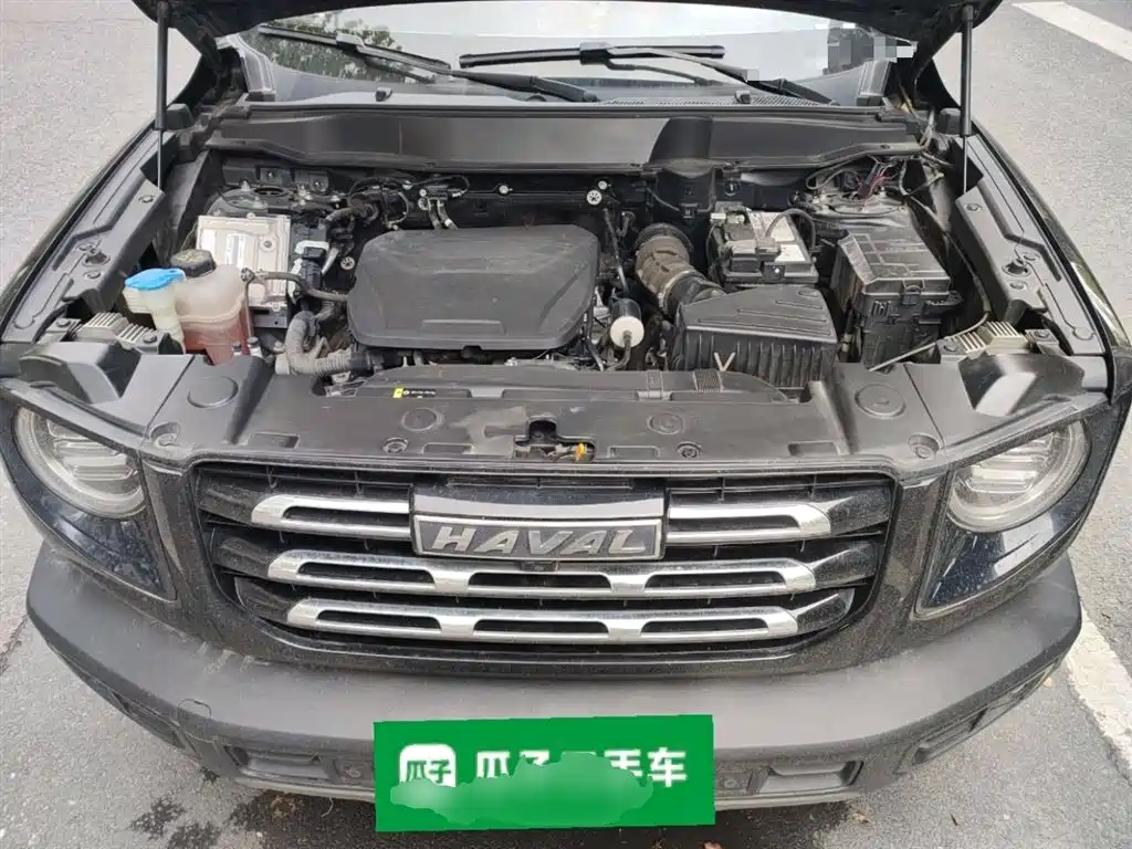 Haval Big Dog 2023 — фото 16