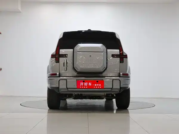 Mengshi M817 2025