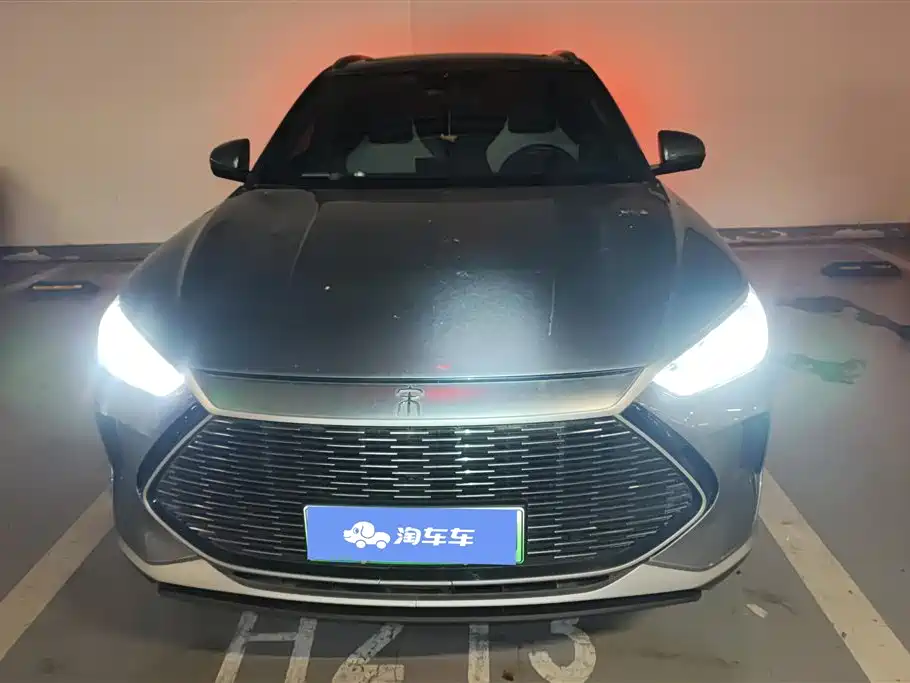 BYD PLUS New Energy 2022 — фото 2