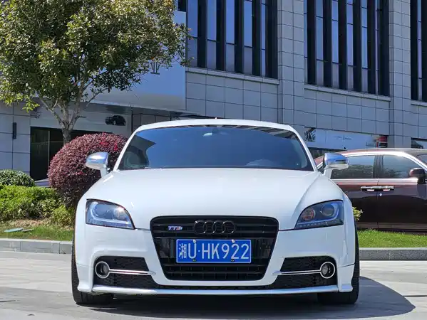 Audi TTS 2013