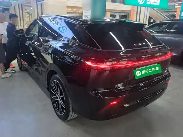Voyah Zhiyin 2025