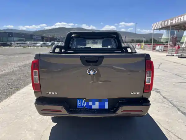 Great Wall Poer 2020
