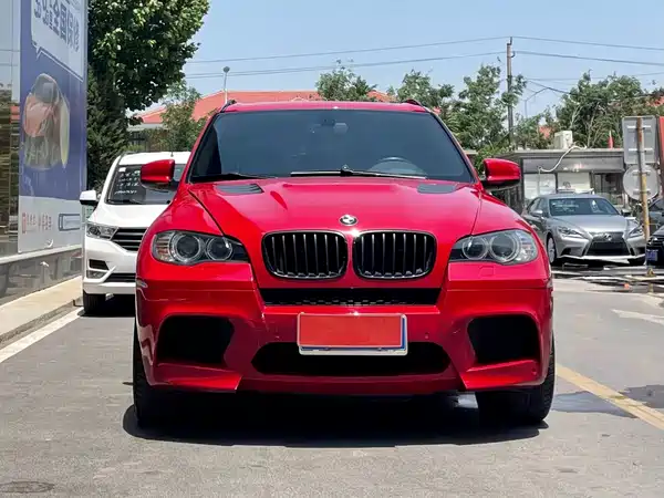 BMW X5 2010
