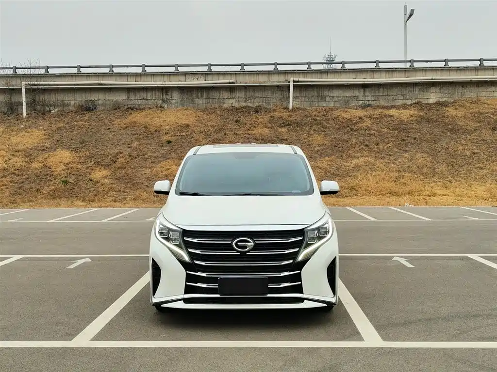 GAC Motor Trumpchi M8 2024 — фото 3